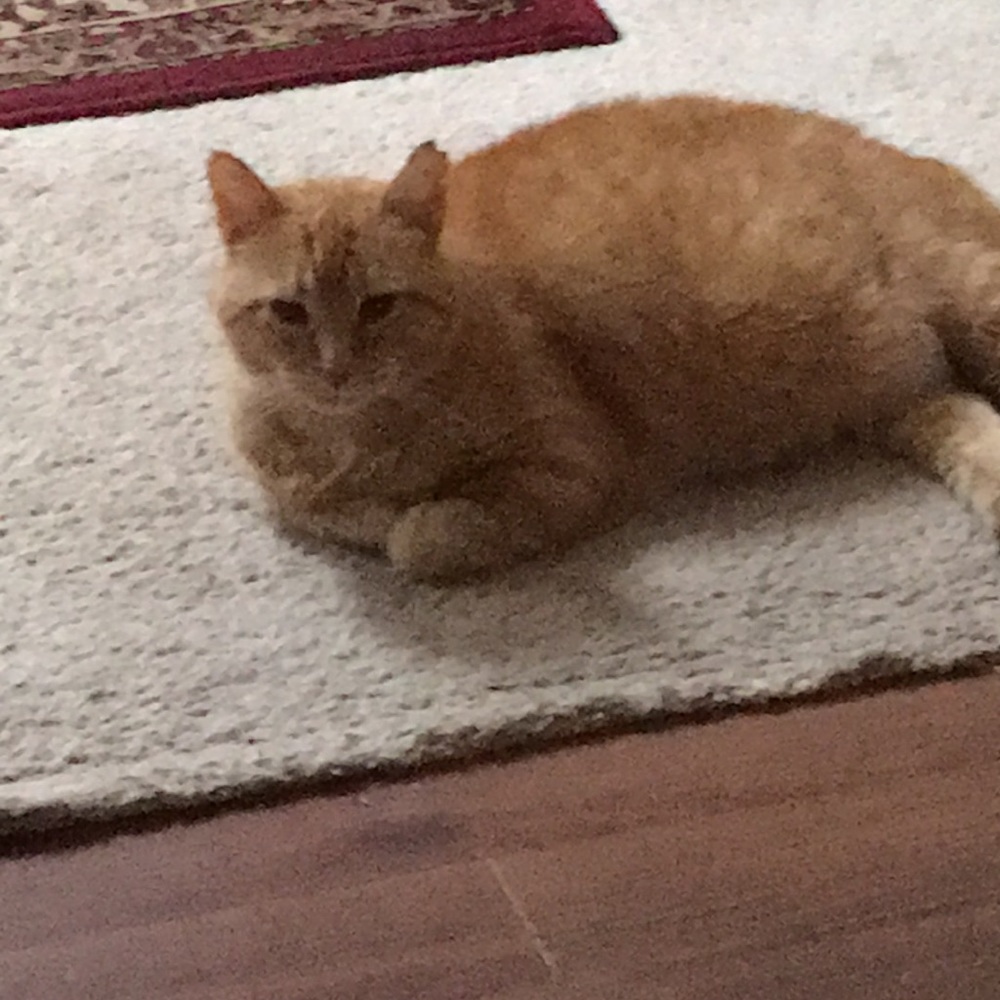 Meet your Posher, Jan